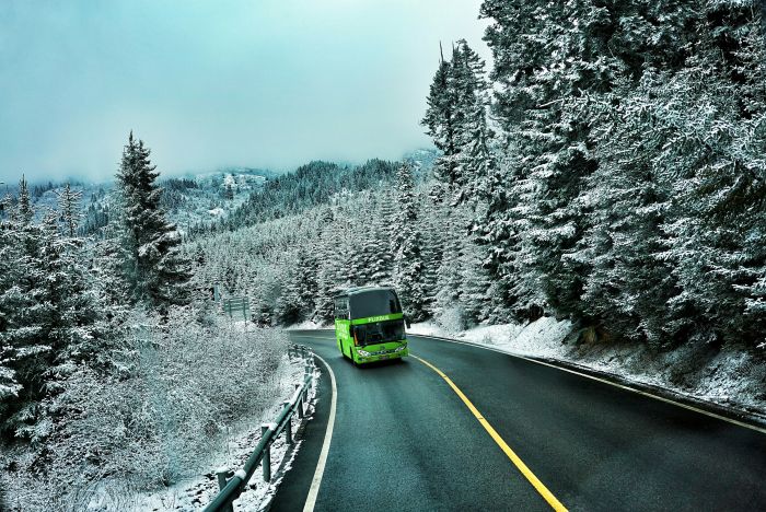 FlixBus Inverno Neve Winter