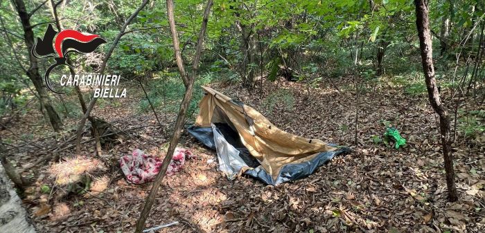 carabinieri spaccio valle elvo