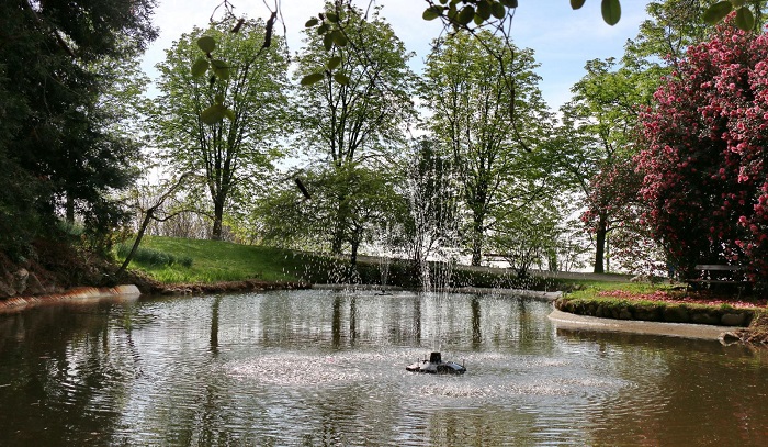 pollone parco burcina