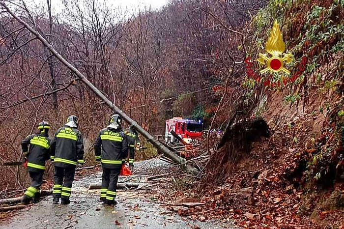 Vigili del fuoco intervenuti per piante cadute in Valsessera
