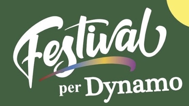 vp festival dynamo 25