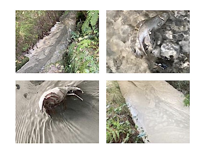 castelletto sversamento set 25