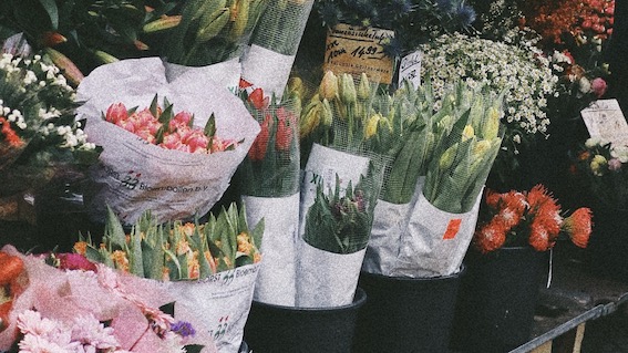 Borgomanero, "Fiorilia – Floral Market": appuntamento l'11 aprile