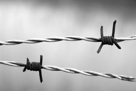 Anziana cossatese lascia un lascito per il giorno della memoria