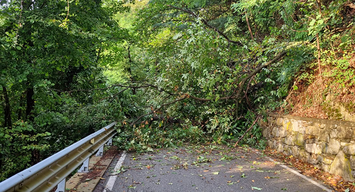 PHOTO 2025 08 28 20 21 49