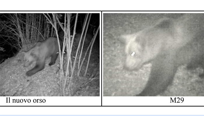 Screenshot 2025 08 28 alle 19.27.00