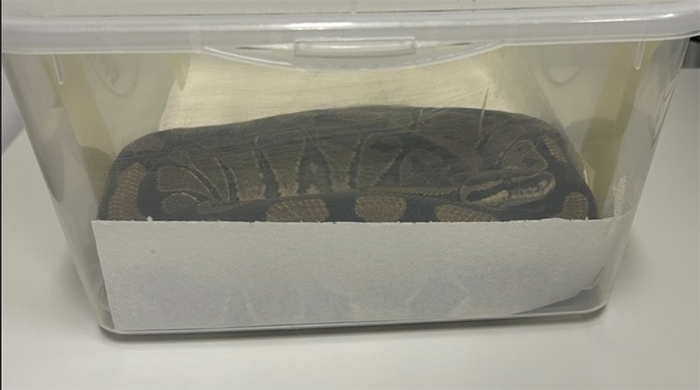 Screenshot 2025 08 29 alle 12.20.42