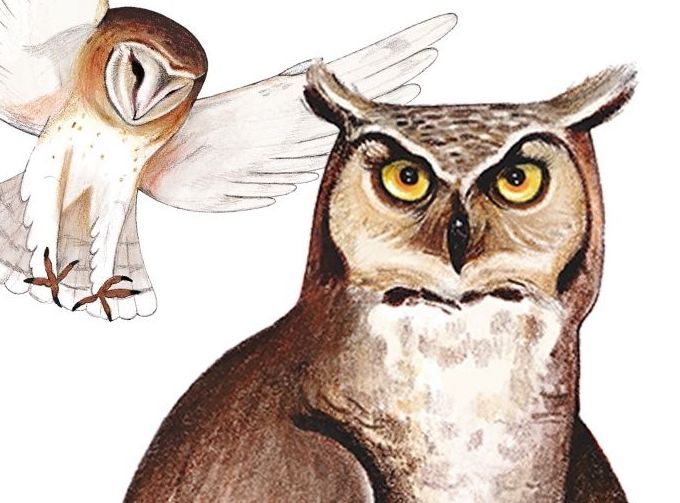 Locandina Laboratorio lotte bestiali