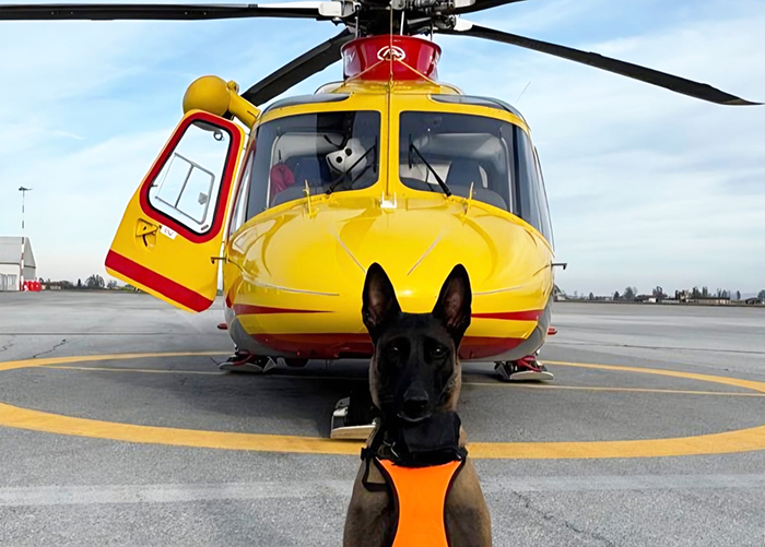 PHOTO 2025 12 06 15 22 57