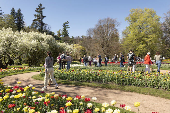 Villa Taranto Giardini Botanici 2025 9716 HR copia