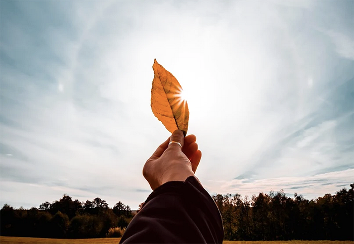 Screenshot 2025 09 21 alle 09.28.32