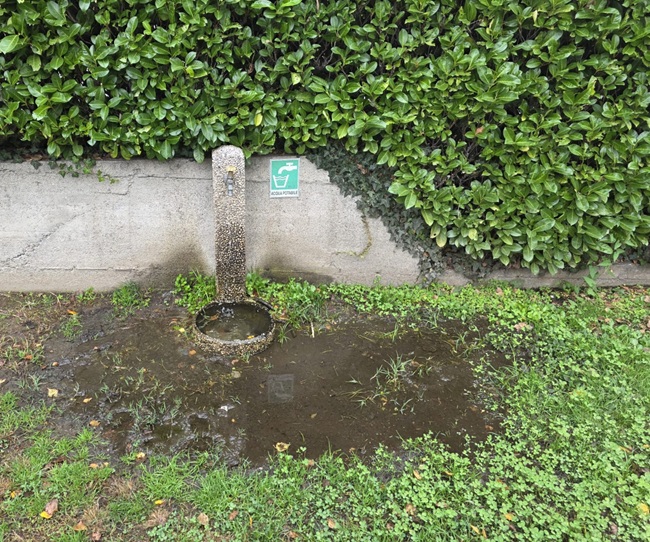 feriolo fontana parcogiochi